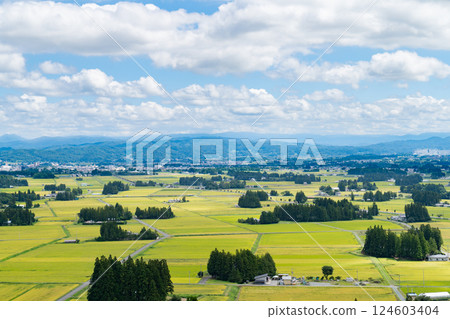 View of the rice paddy fields and the city from Enmanji Kannonyama in Hanamaki, Iwate Prefecture 124603404