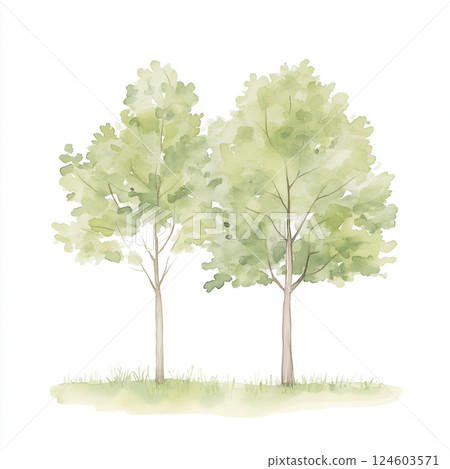Illustration of a tree painted with watercolors Illustration of a tree painted with watercolors 124603571