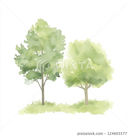 Illustration of a tree painted with watercolors 124603577