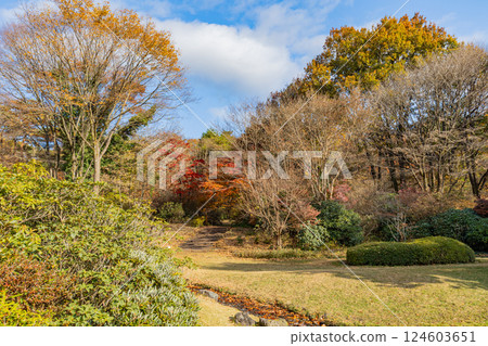 [群馬縣] 赤城自然公園和四季之森 - 美麗的秋葉 124603651