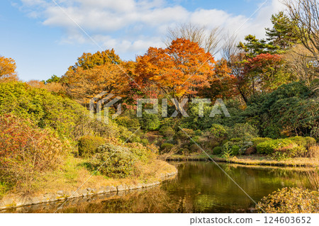 [Gunma Prefecture] Akagi Nature Park and Shiki no Mori - Beautiful autumn foliage 124603652