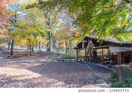 [Gunma Prefecture] Akagi Nature Park, Shiki no Mori, and Workshop with beautiful autumn leaves 124603743
