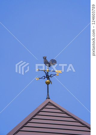 Weathercock Weathercock 124603789