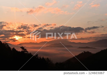 武田城堡廢墟和雲海 武田城堡廢墟和雲海 124603867