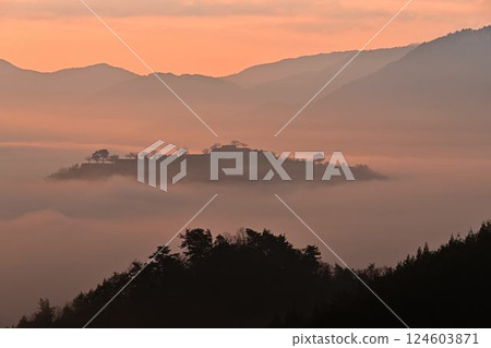 武田城堡廢墟和雲海 124603871