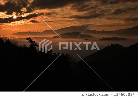 Takeda Castle ruins and sea of clouds Takeda Castle ruins and sea of clouds 124603884