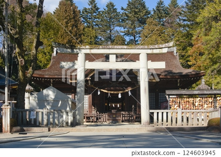 Takeda Shrine: Second Torii Gate and Worship Hall 124603945