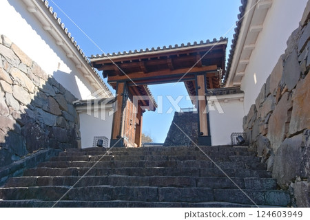 Kofu Castle: Shoinmon Gate 124603949