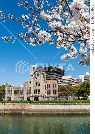 透過櫻花看到的原子彈圓頂 124603968