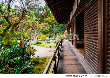 Autumn in Kyoto: Shoren-in Temple, Soami's Garden and Kogosho 124604027