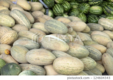 Honeydew melon or Hami melon in the market of Siyob bazaar in Samarkand, Uzbekistan	 124604343