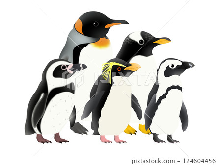 五隻企鵝的可愛插圖 124604456