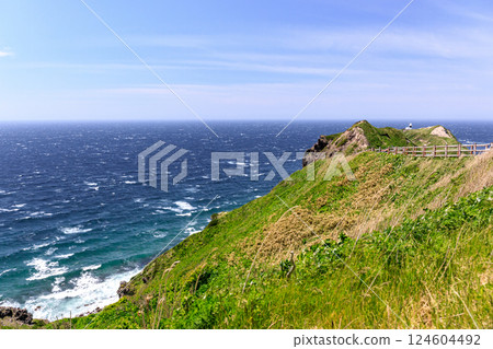 The walking trail leading to Cape Kamui Lighthouse, Shakotan Town, Hokkaido [May] 124604492