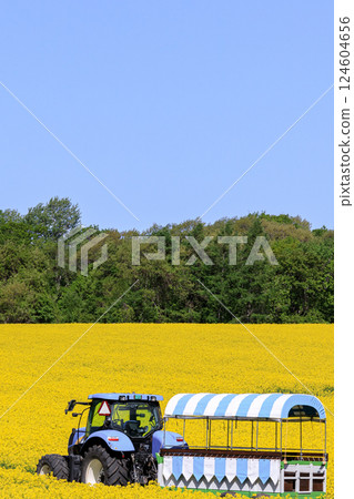 A tractor runs through a yellow carpet of rapeseed flowers in Abira Town, Hokkaido [May] 124604656