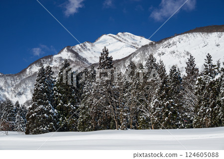A clear, snow-white morning at the ski resort at the foot of Mount Kanna in Myoko 124605088