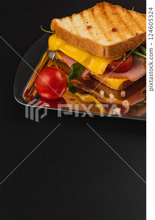Double grilled cheese with ham, spinach, and tomatoes, freshly made Double grilled cheese with ham, spinach, and tomatoes, freshly made 124605324