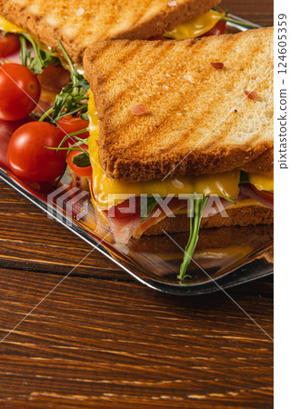 Grilled cheese sandwich with ham, spinach, and tomatoes on toasted bread Grilled cheese sandwich with ham, spinach, and tomatoes on toasted bread 124605359