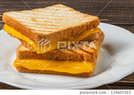 Delicious grilled cheese sandwich served on a white plate for lunch Delicious grilled cheese sandwich served on a white plate for lunch 124605363