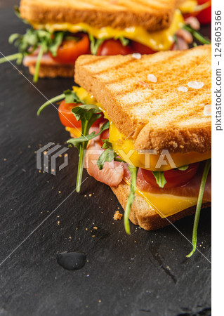 Delicious grilled sandwich with ham, cheese, and fresh greens for brunch Delicious grilled sandwich with ham, cheese, and fresh greens for brunch 124605366