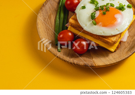 Tasty breakfast sandwich with fried egg and veggies on wood plate Tasty breakfast sandwich with fried egg and veggies on wood plate 124605383