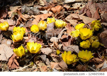 童謠森林互動樂園 2025-2-11 #56 124605968