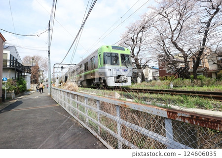 Inokashira Line in Spring Inokashira Line in Spring 124606035