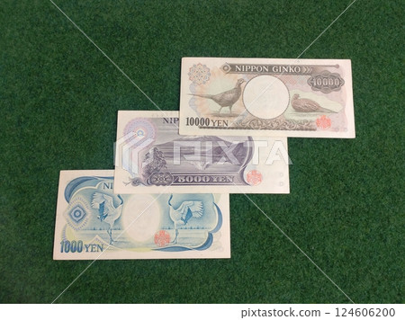 Banknote back (1984-2004) Banknote back (1984-2004) 124606200