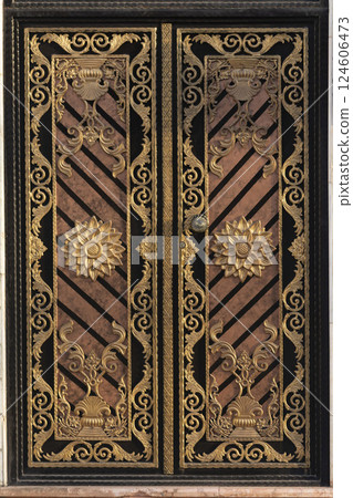 Modern door with beautiful design 124606473