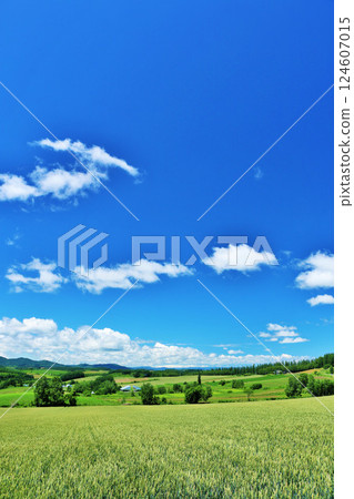 Hokkaido summer blue sky and Biei landscape 124607015