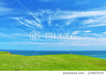 北海道：蔚藍的天空、翠綠的高原與海 124607019