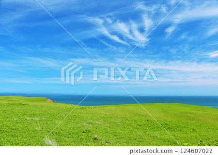 北海道：蔚藍的天空、翠綠的高原與海 124607022