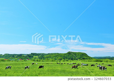 北海道藍天牧場景觀 124607033
