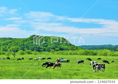 北海道藍天牧場景觀 124607034
