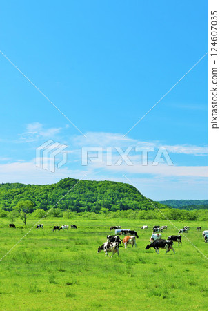 北海道藍天牧場景觀 124607035
