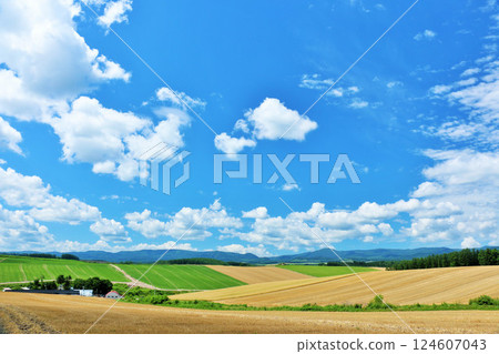 Hokkaido summer blue sky and Biei landscape Hokkaido summer blue sky and Biei landscape 124607043
