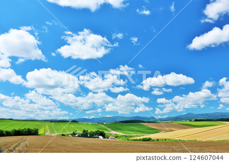 北海道夏天藍天和Biei風景 124607044