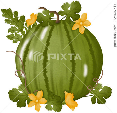 Watermelon Plant Clipart Green Fruit Leaves Flowers Illustration Watermelon Plant Clipart Green Fruit Leaves Flowers Illustration 124607314