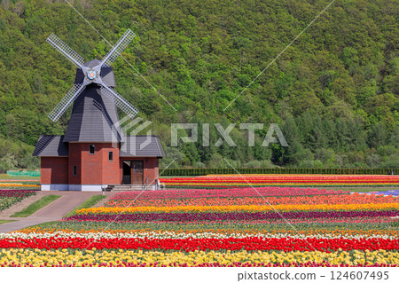 北海道湧別市上湧別鬱金香公園，70萬株鬱金香盛開 [5月] 124607495