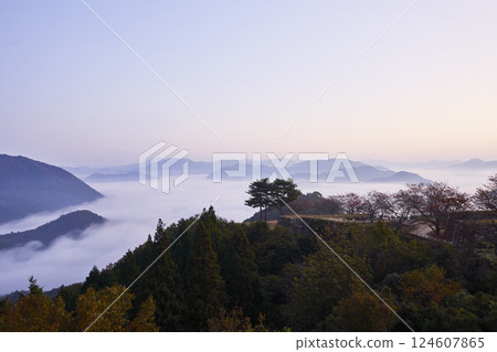 從天空之城竹田城看到的雲海 124607865