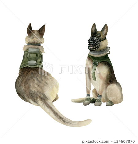Military dogs of Israel canine special forces Oketz watercolor illustration set. K9 sitting German shepherds in muzzle and vest isolated clipart. Military guard animals for Veteran day designs Military dogs of Israel canine special forces Oketz watercolor illustration set. K9 sitting German shepherds in muzzle and vest isolated clipart. Military guard animals for Veteran day designs 124607870