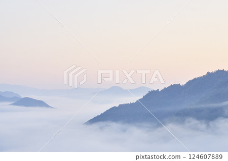 從天空之城竹田城看到的雲海 124607889