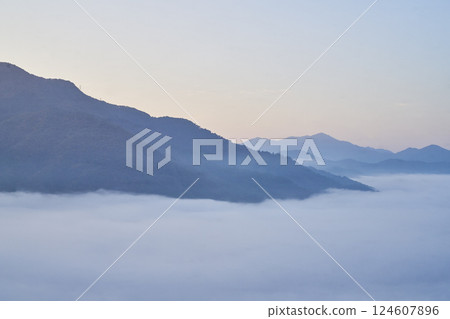 從天空之城竹田城看到的雲海 124607896