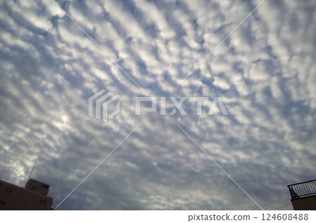 Cloudy sky Cloudy sky 124608488