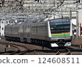 E233系列上野東京線 124608511