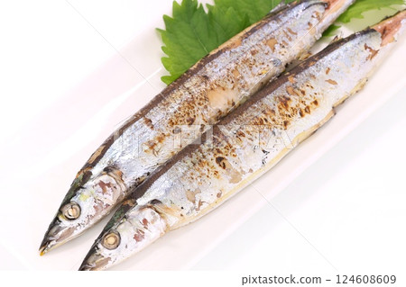 Grilled salted saury, grilled fish, light background 124608609