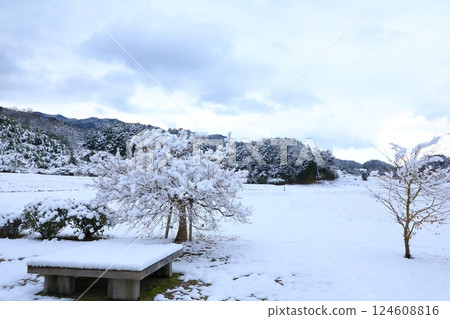 特別史蹟:山田寺遺跡、雪景 特別史蹟:山田寺遺跡、雪景 124608816