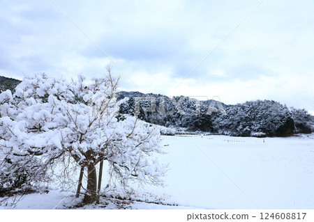 特別史蹟:山田寺遺跡、雪景 特別史蹟:山田寺遺跡、雪景 124608817