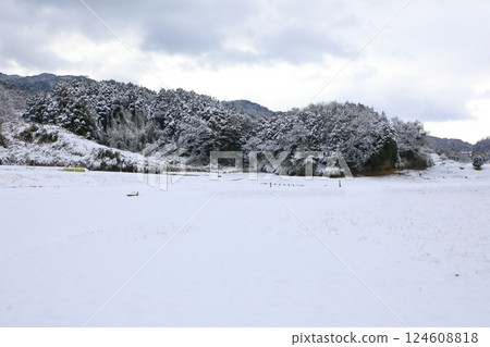 特別史蹟:山田寺遺跡、雪景 特別史蹟:山田寺遺跡、雪景 124608818