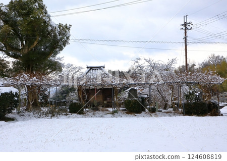 特別史蹟:山田寺遺跡、雪景 特別史蹟:山田寺遺跡、雪景 124608819