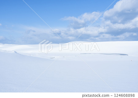 冬季鳥取沙丘的雪景 鳥取縣 鳥取沙丘 冬季鳥取沙丘的雪景 鳥取縣 鳥取沙丘 124608898
